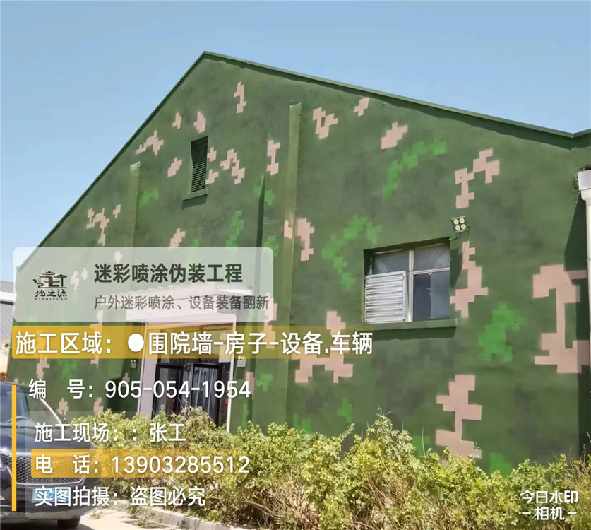 连云港外墙数码迷彩漆施工报价清单(100㎡标准墙面测算)